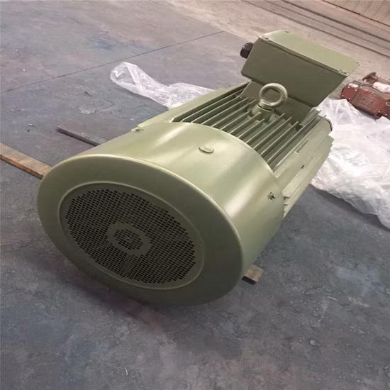 Ylf2 Series Three Phase Asynchronous Motor for Cooling Tower